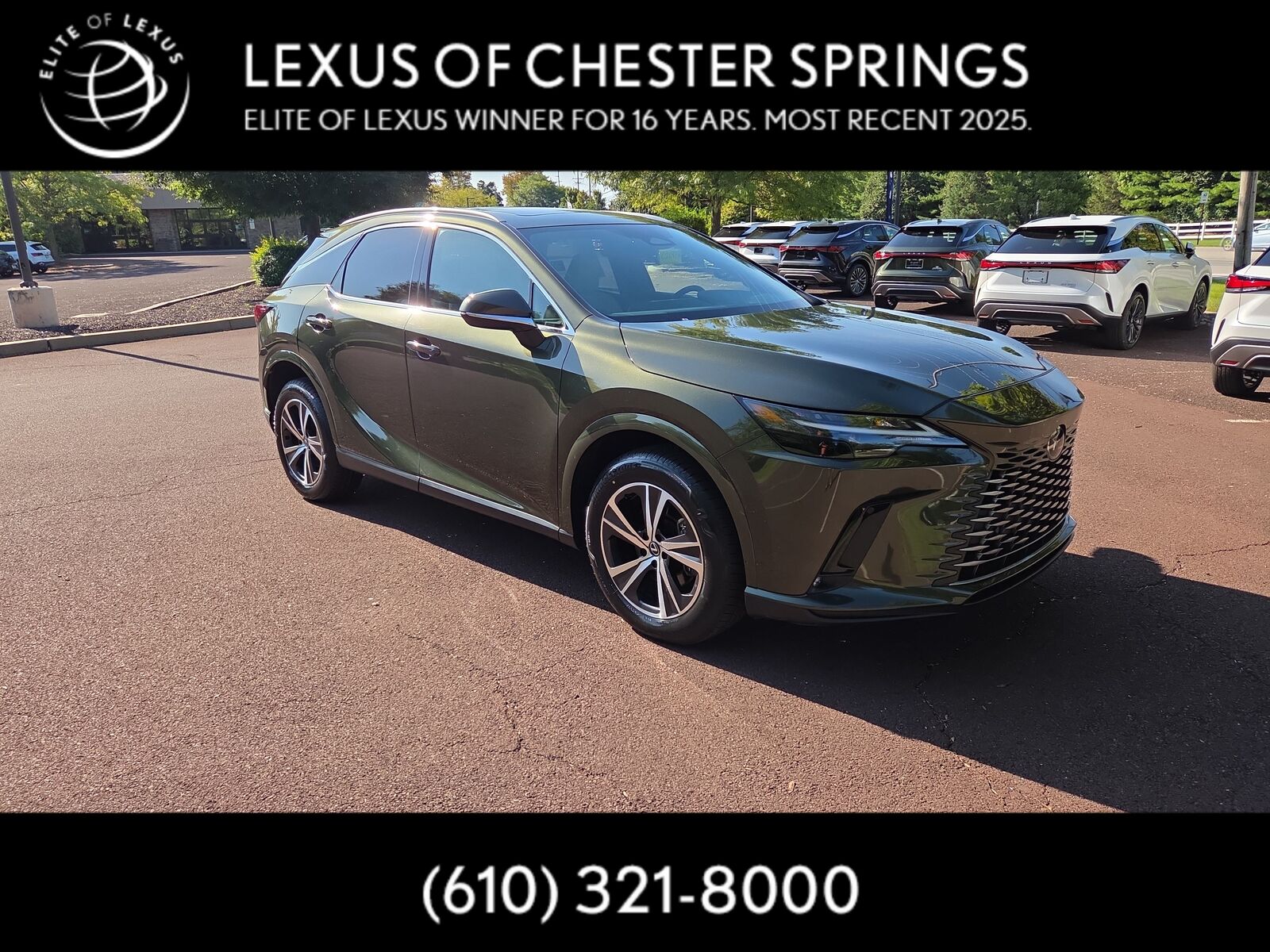2024 LEXUS RX