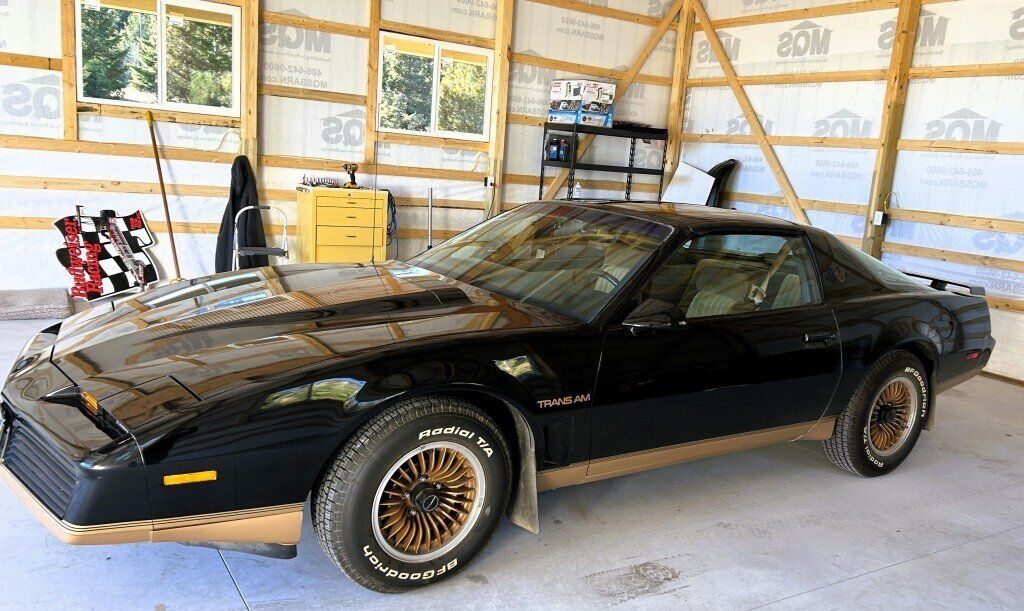 1983 PONTIAC Firebird