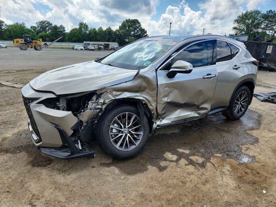 2024 LEXUS NX