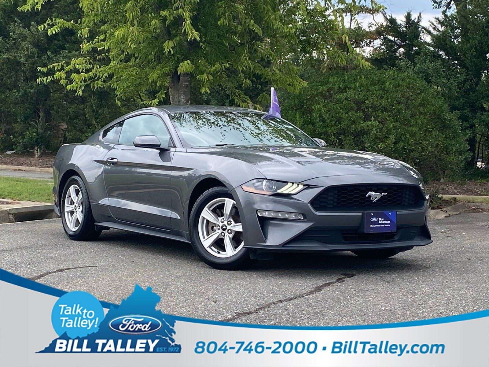 2022 FORD Mustang