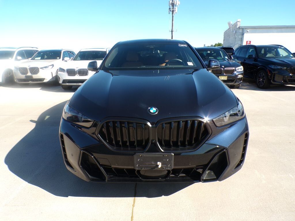 2026 BMW X6