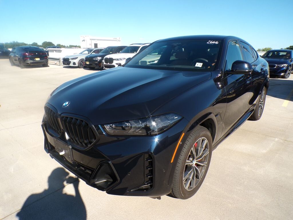 2026 BMW X6