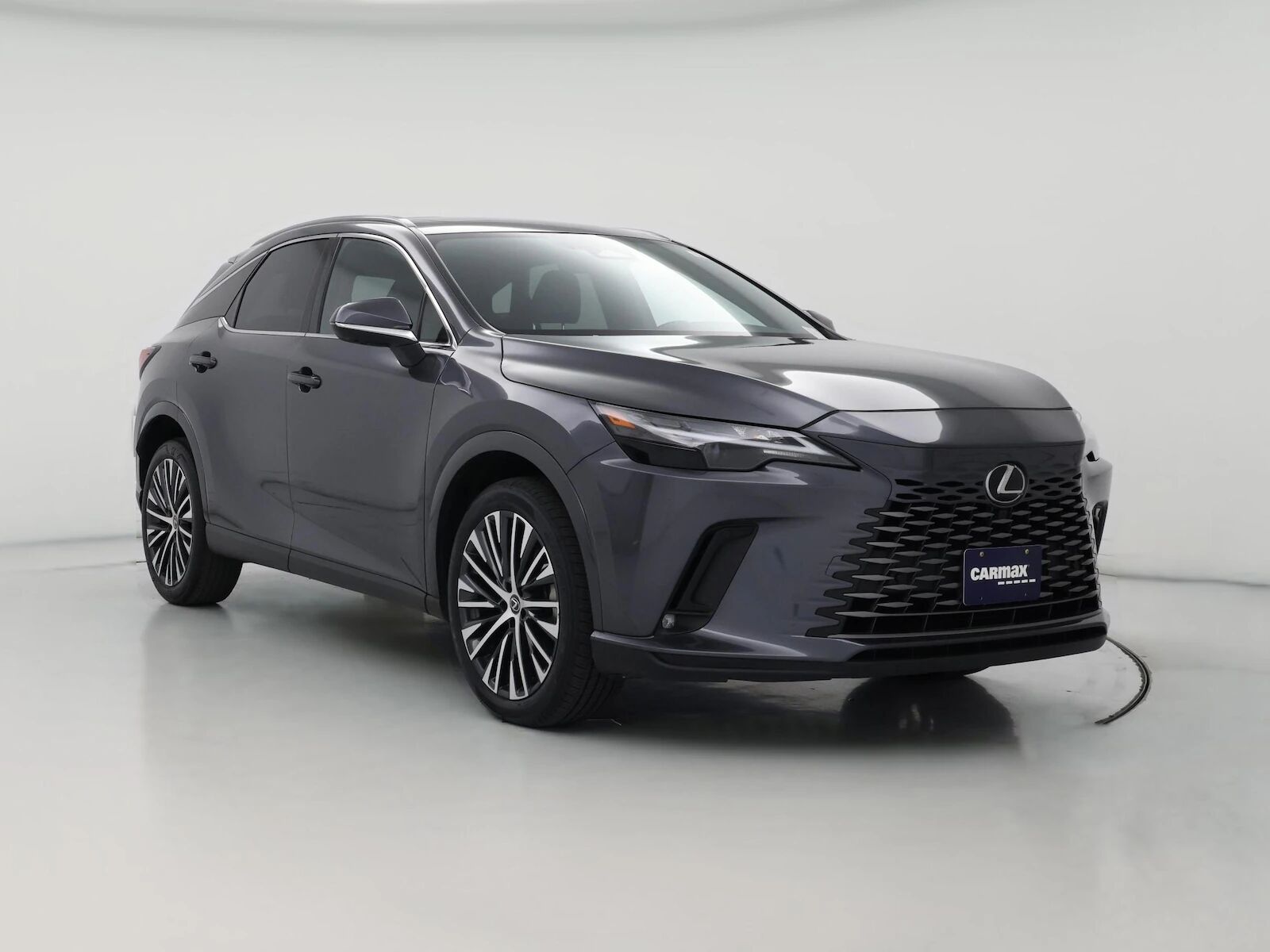2025 LEXUS RX