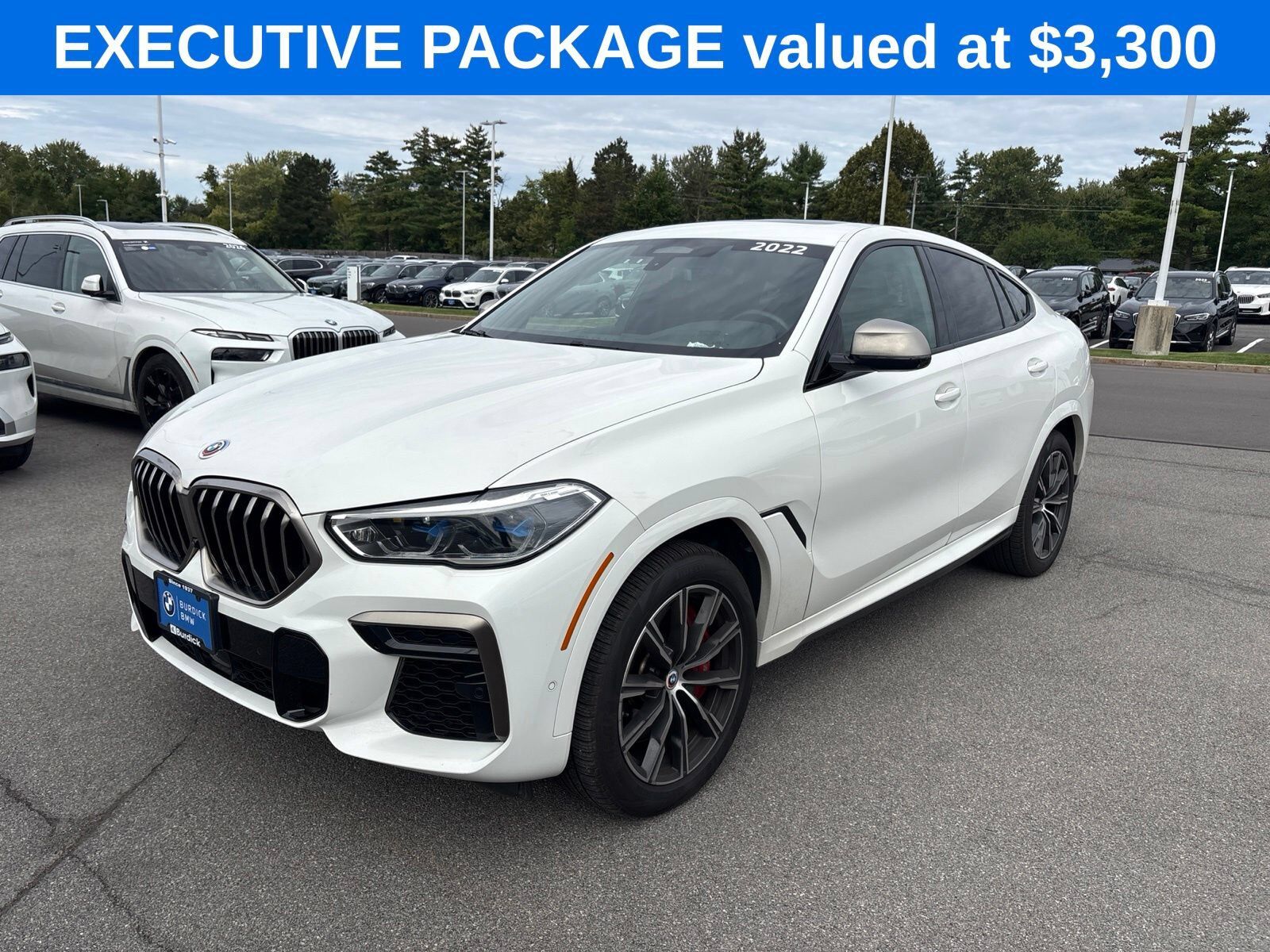 2022 BMW X6