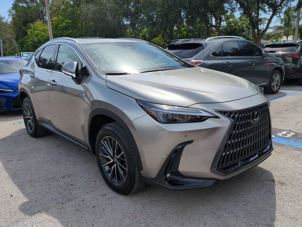 2026 LEXUS NX