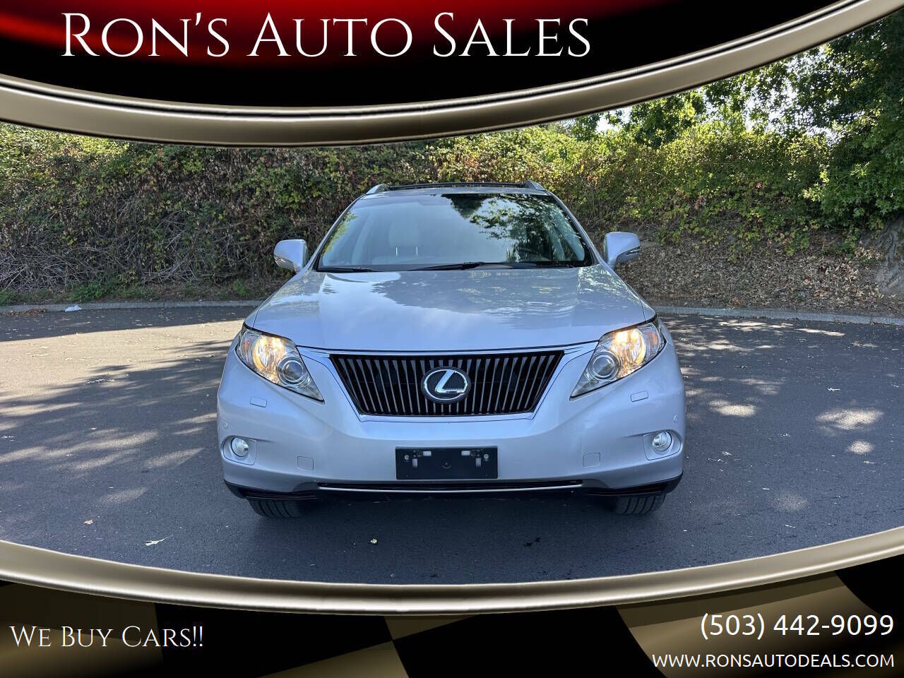 2010 LEXUS RX