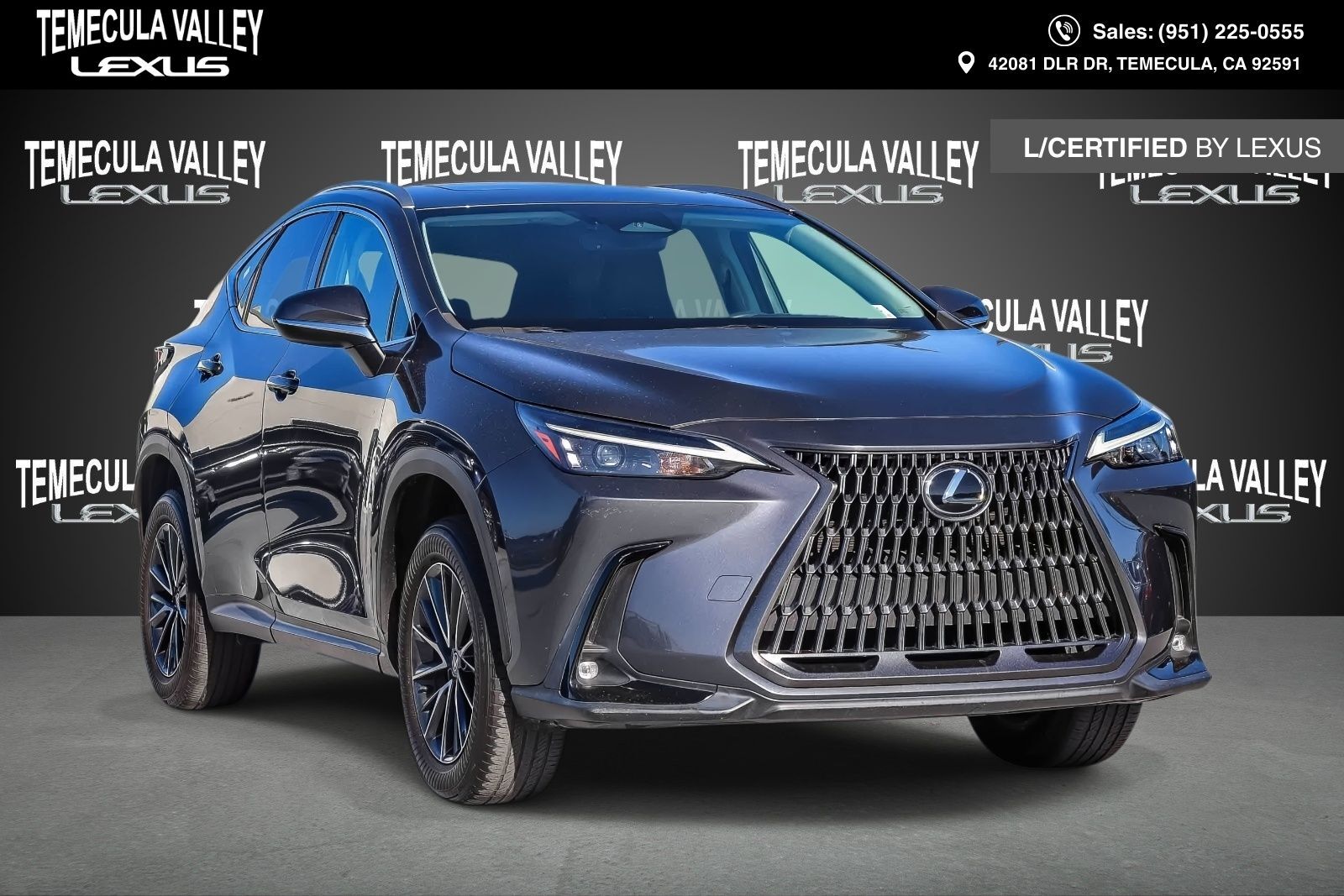 2024 LEXUS NX