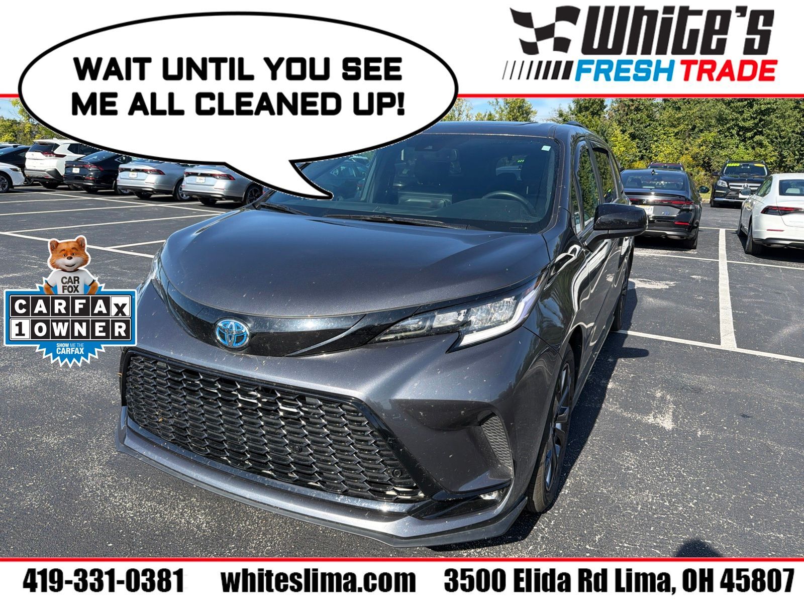 2025 TOYOTA Sienna