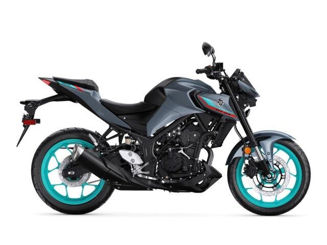 2023 YAMAHA MTN320