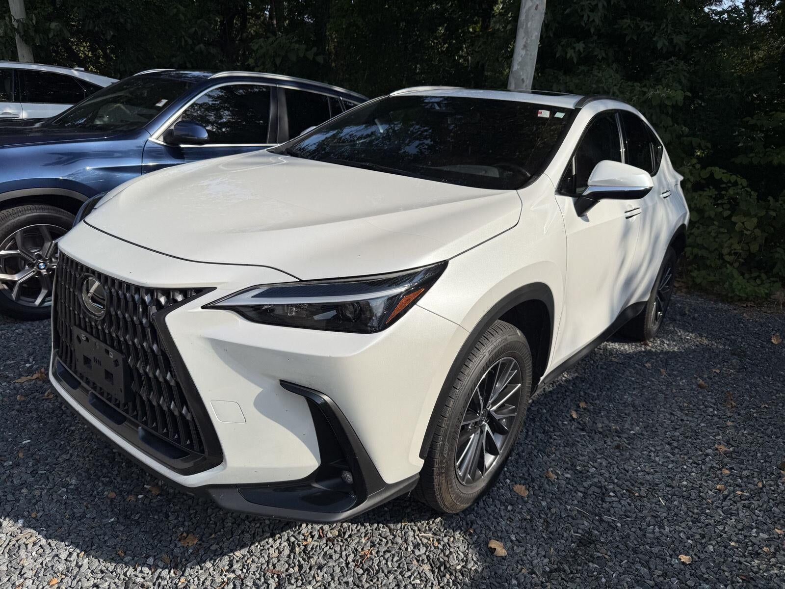 2024 LEXUS NX