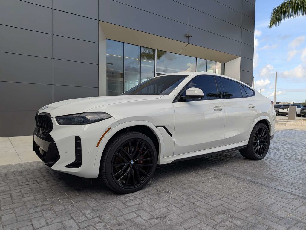 2024 BMW X6