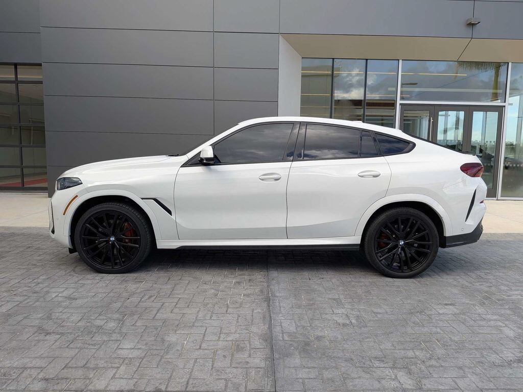 2024 BMW X6