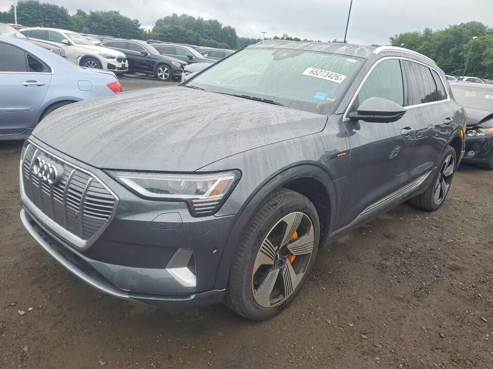 2019 AUDI e-tron