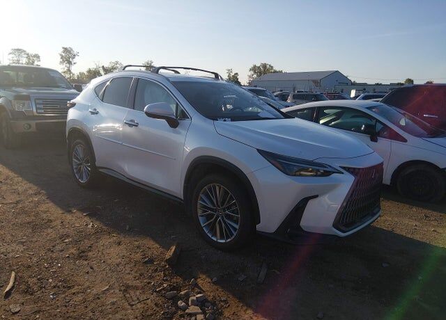 2025 LEXUS NX