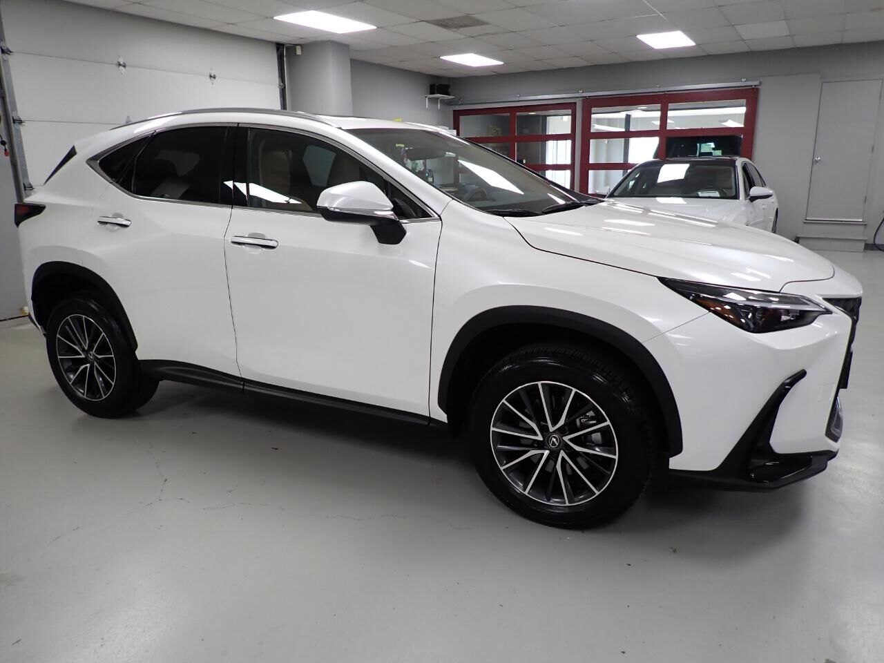 2024 LEXUS NX
