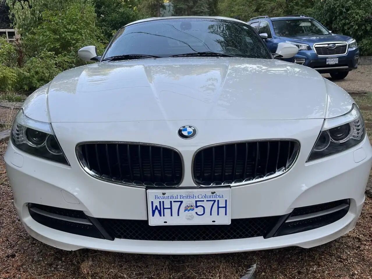 2010 BMW Z4