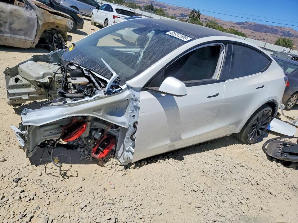2025 TESLA Model Y