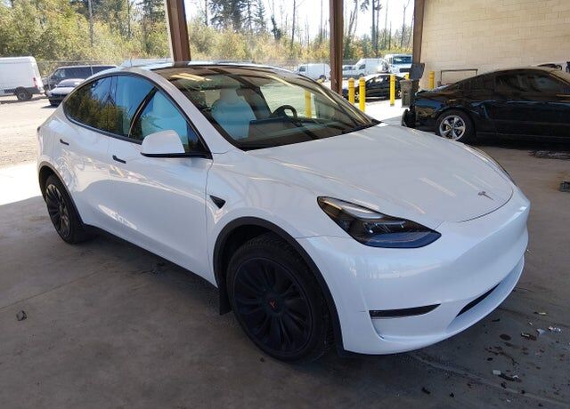 2024 TESLA Model Y