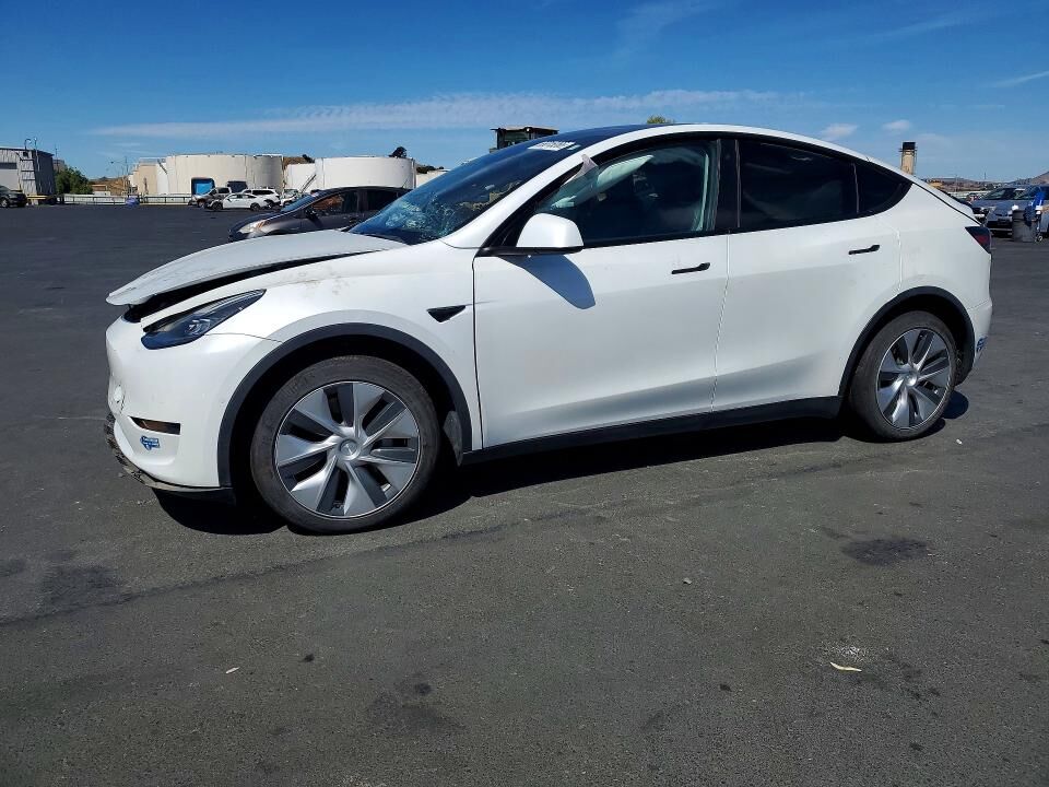 2020 TESLA Model Y