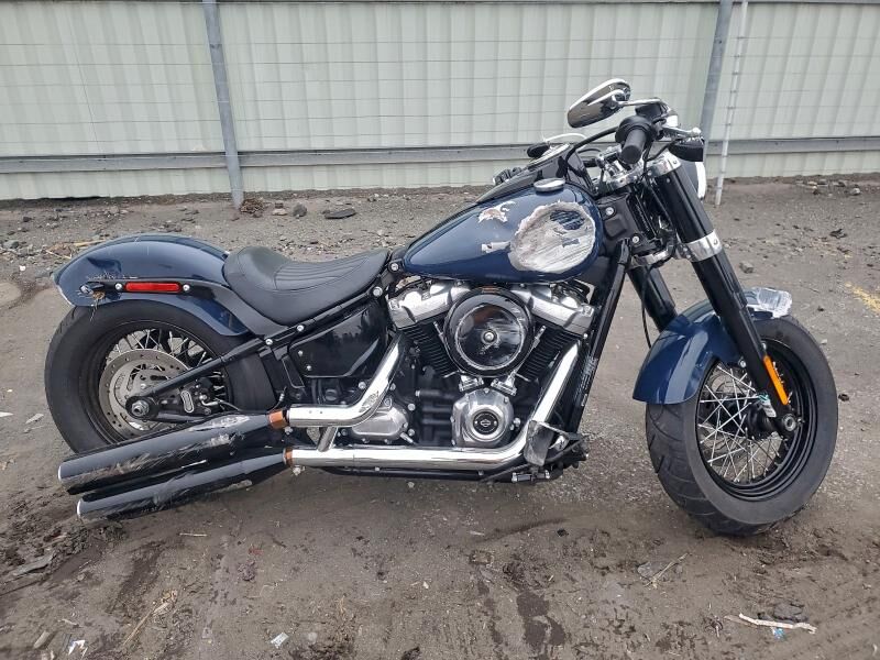 2019 HARLEY DAVIDSON FLSL / Softail Slim