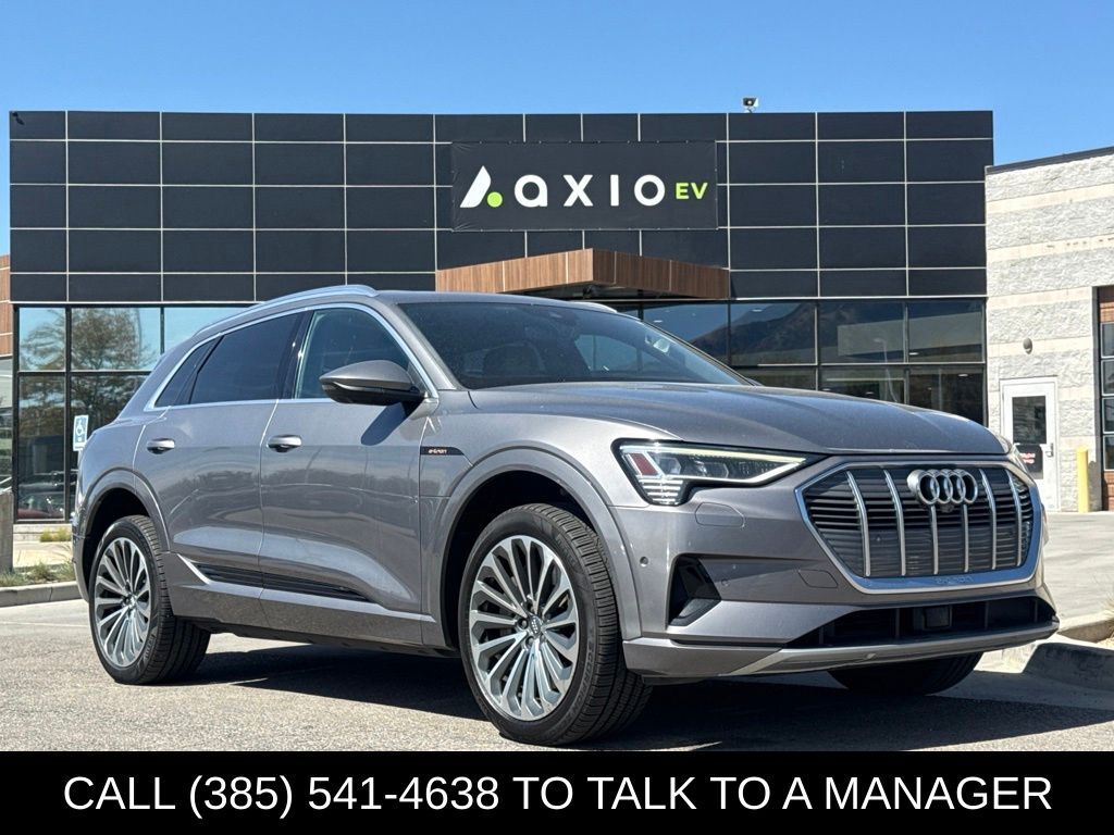 2019 AUDI e-tron