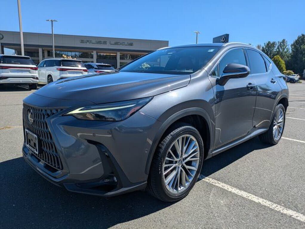 2024 LEXUS NX