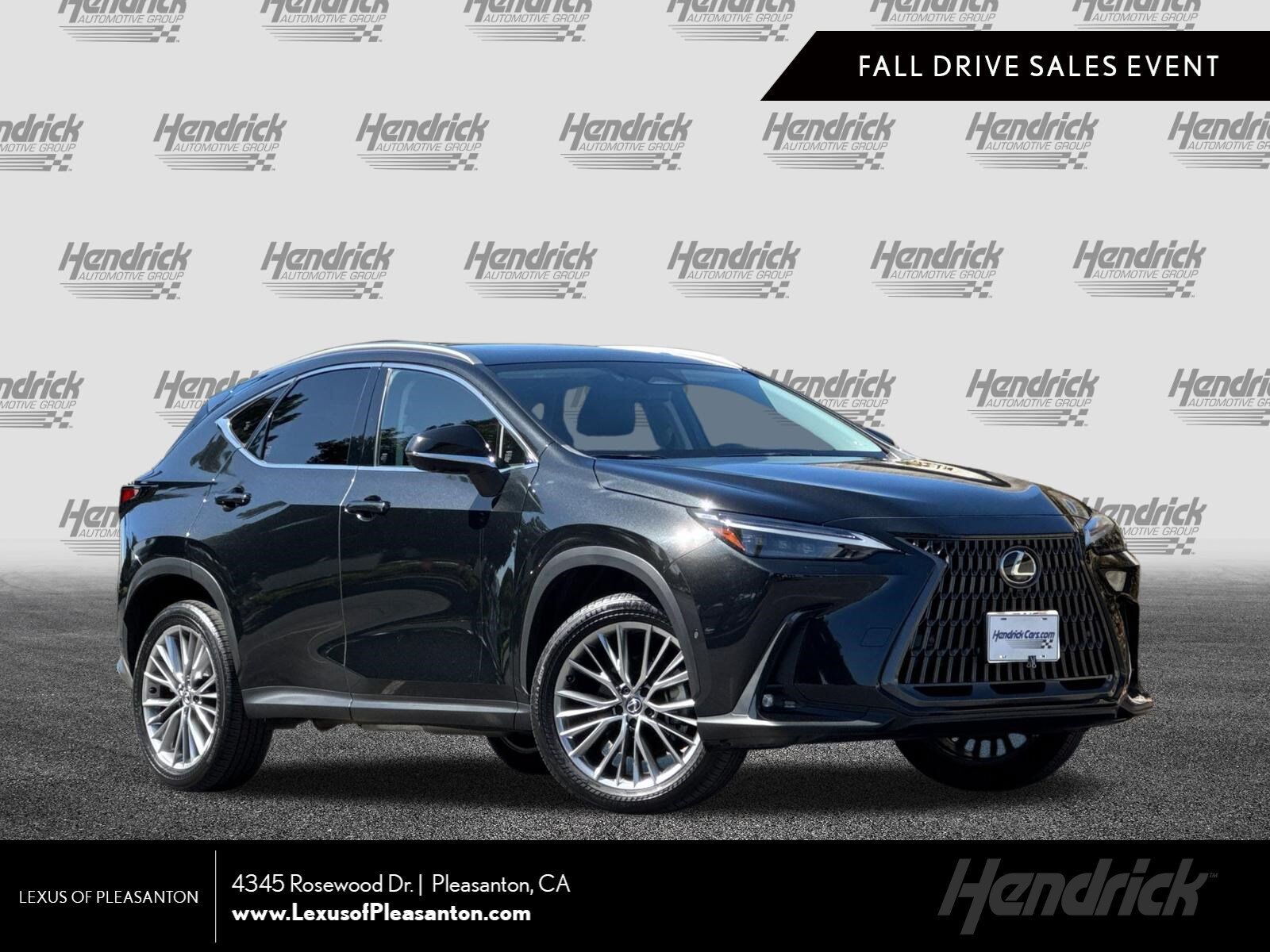 2024 LEXUS NX