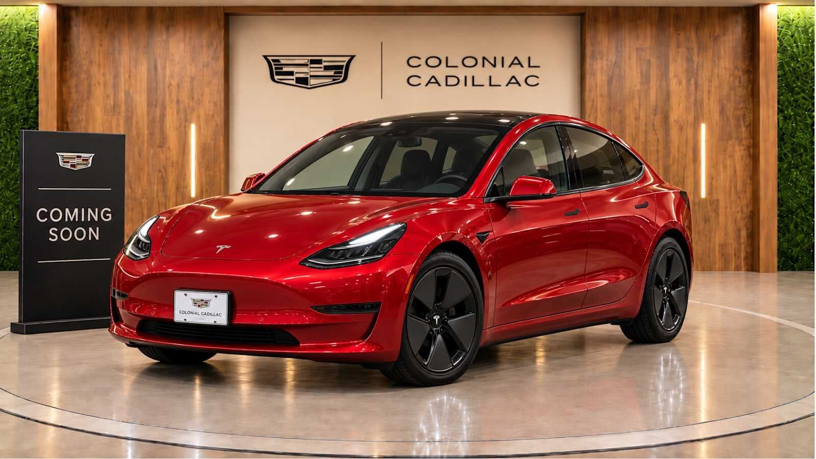 2023 TESLA Model 3