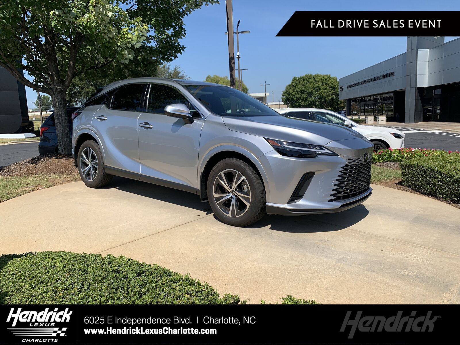 2025 LEXUS RX