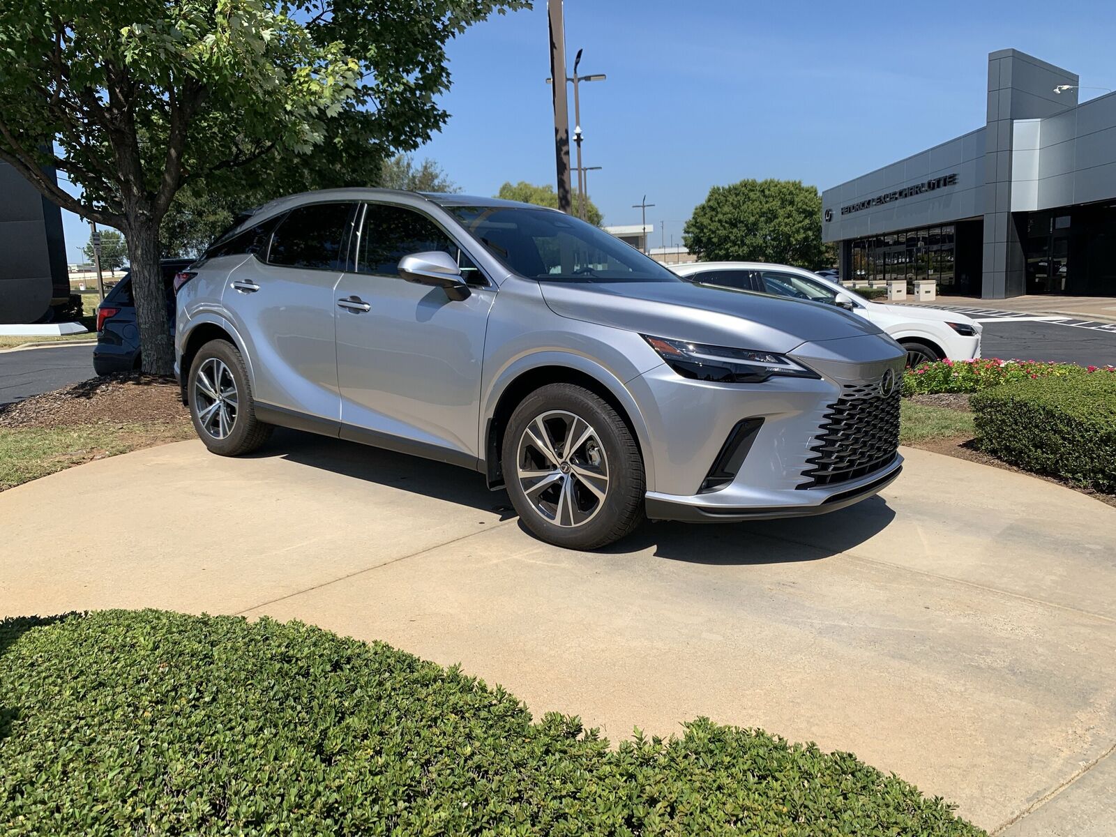 2025 LEXUS RX