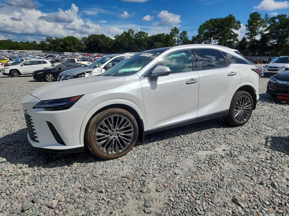 2024 LEXUS RX