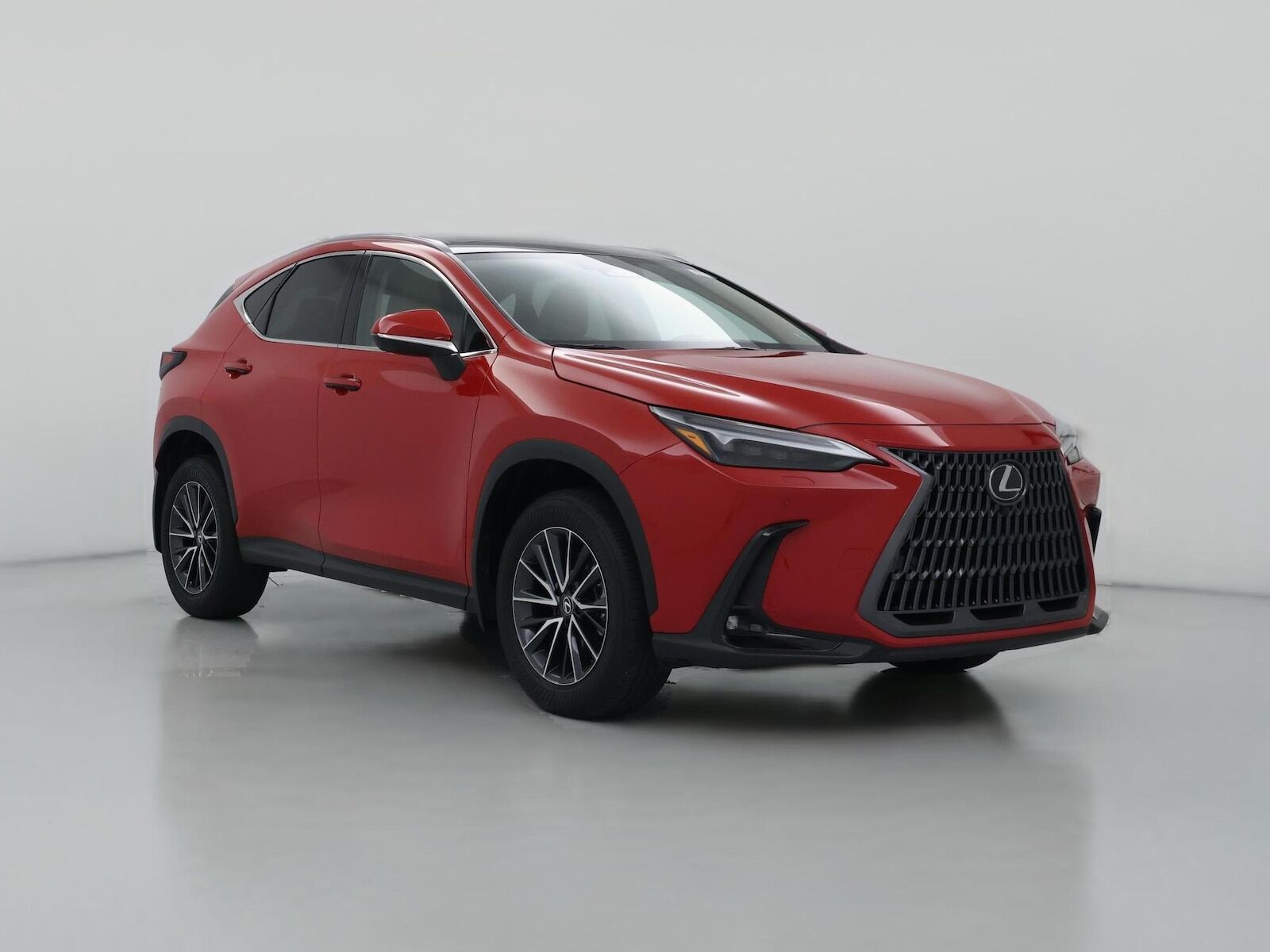 2024 LEXUS NX