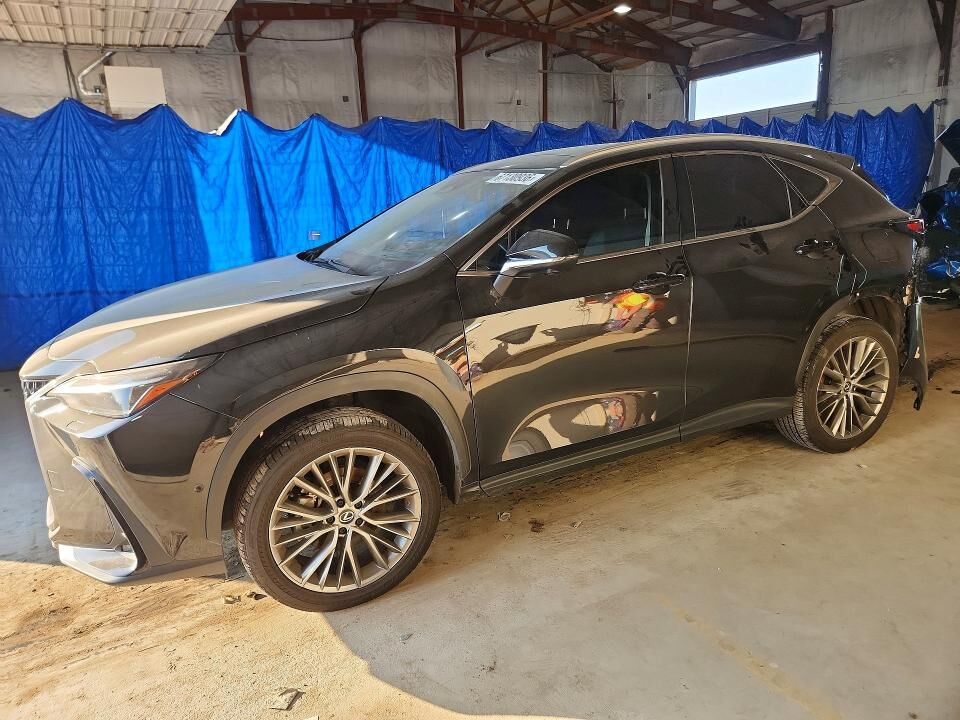 2024 LEXUS NX