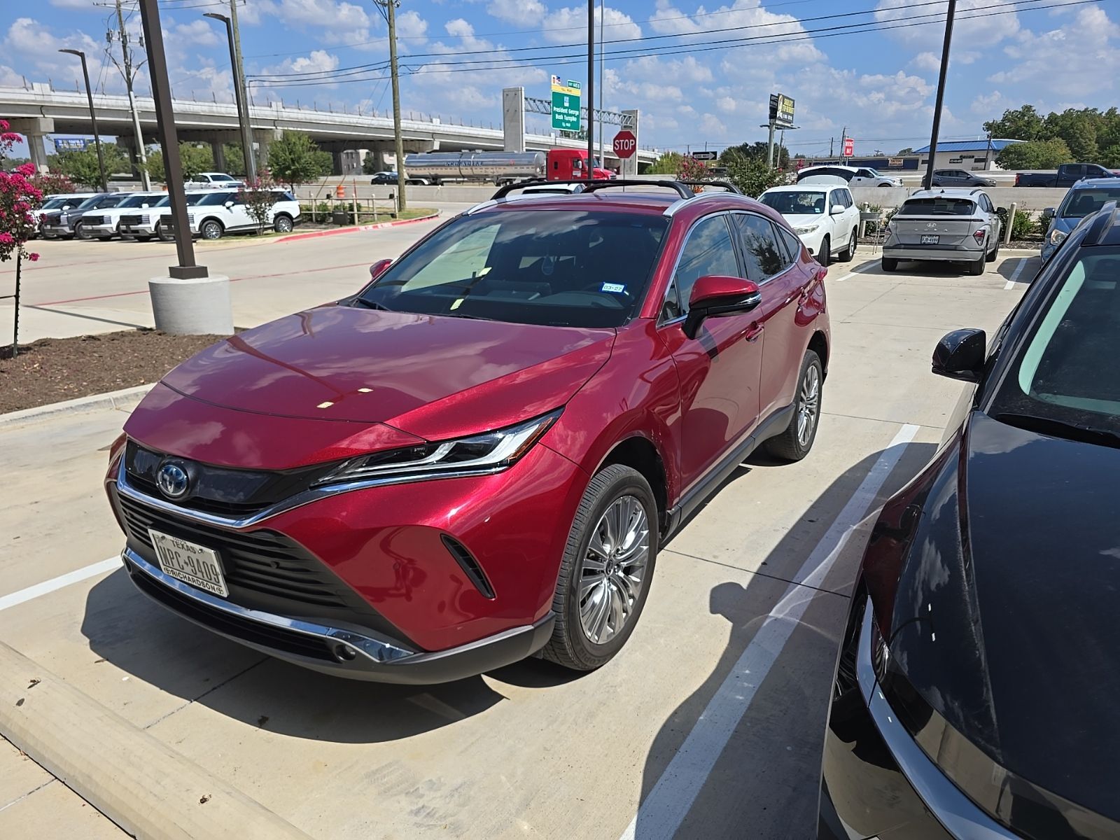 2023 TOYOTA Venza