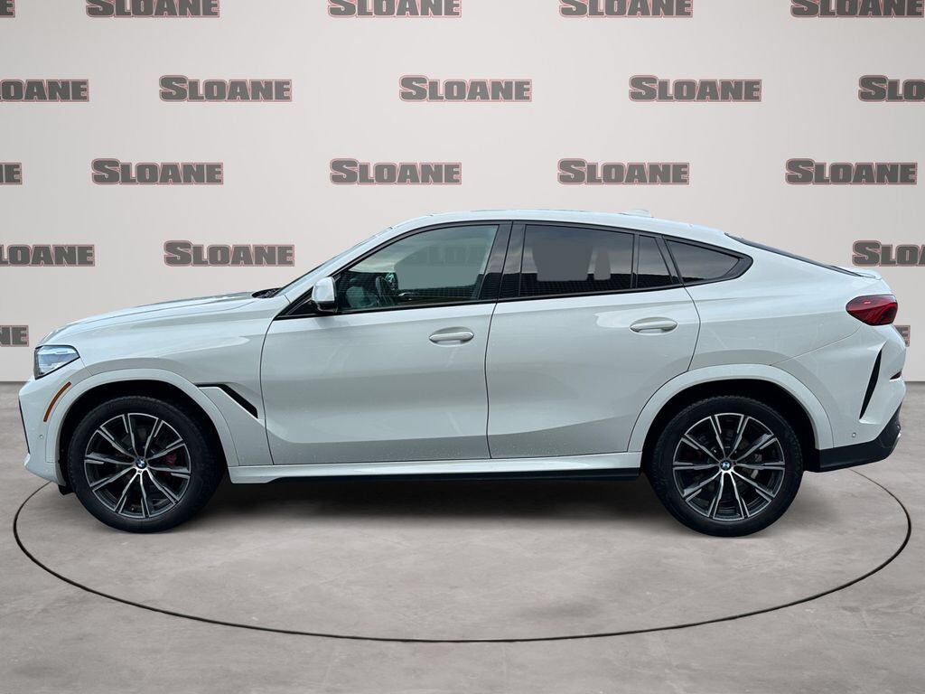 2023 BMW X6