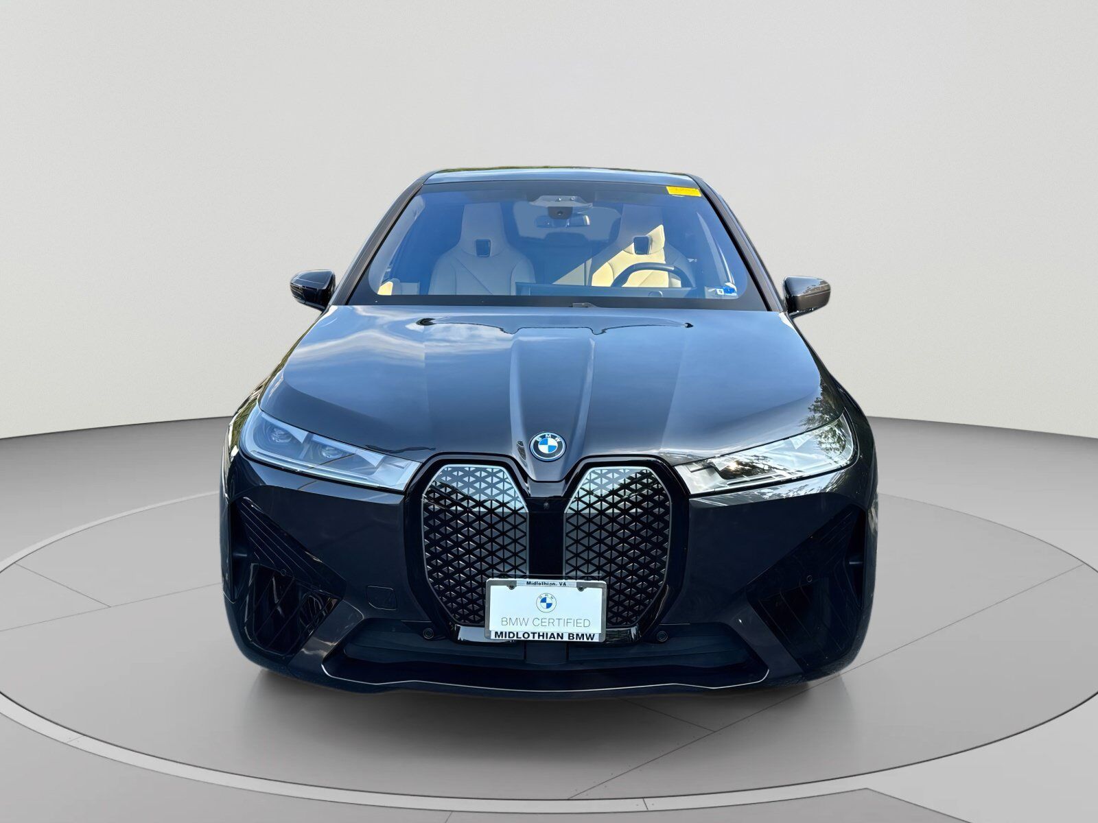 2024 BMW ix