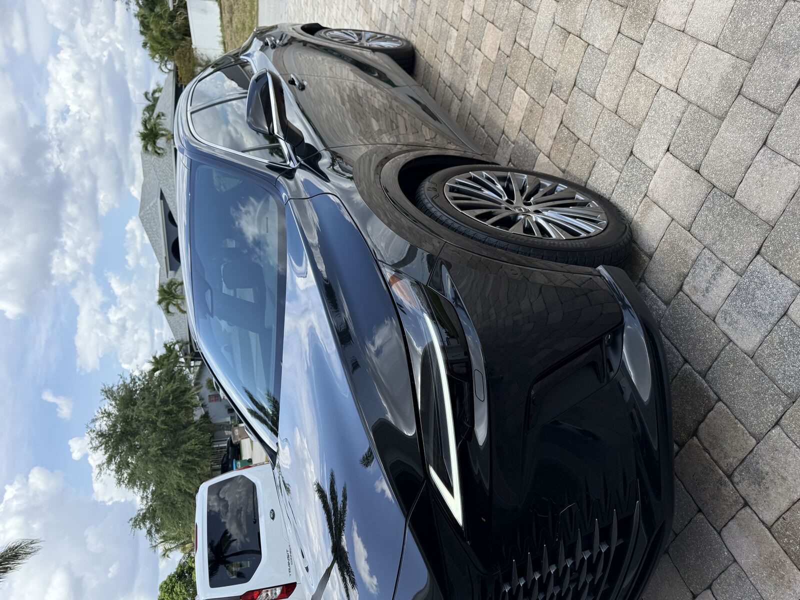 2024 LEXUS RX
