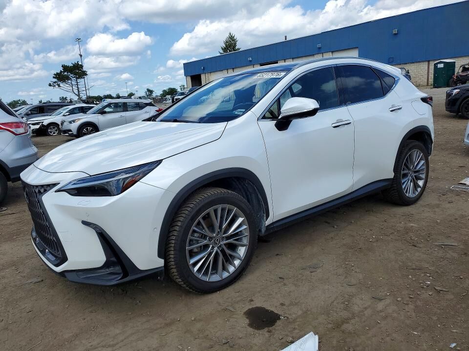 2024 LEXUS NX