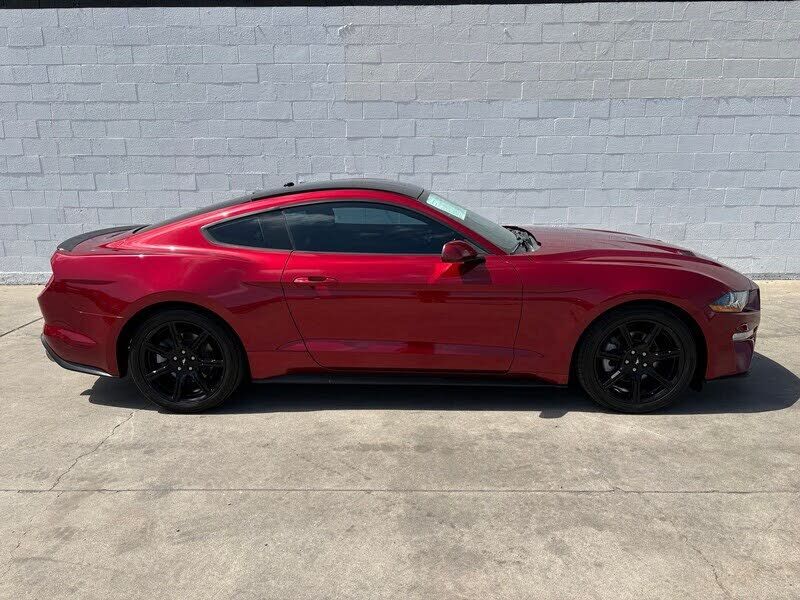 2019 FORD Mustang