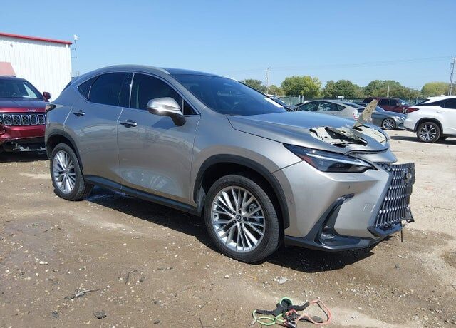 2024 LEXUS NX