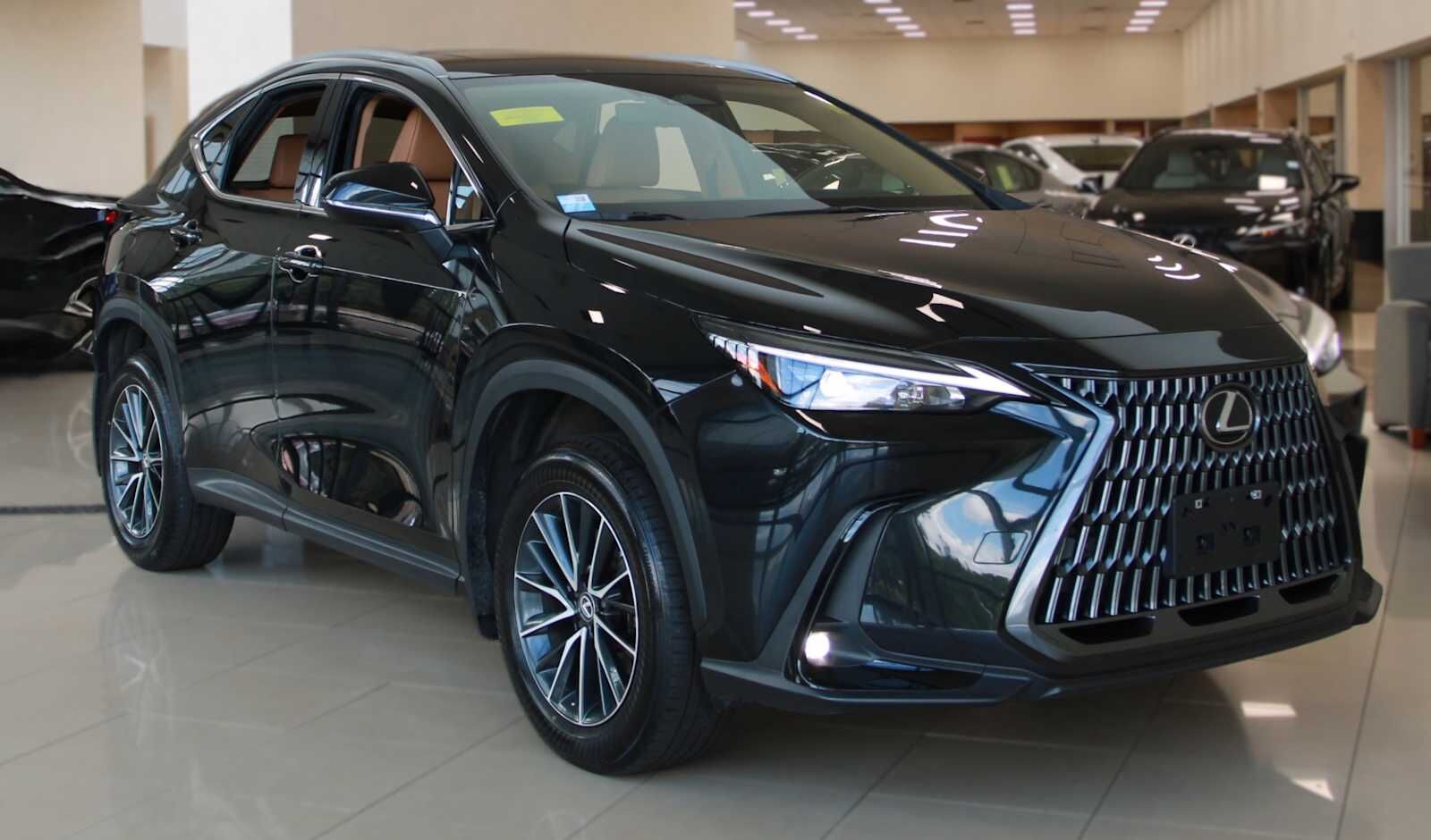 2024 LEXUS NX