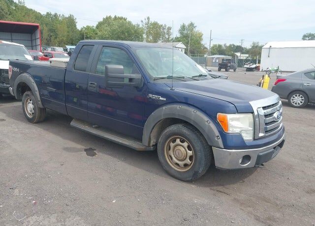 2010 FORD F-150