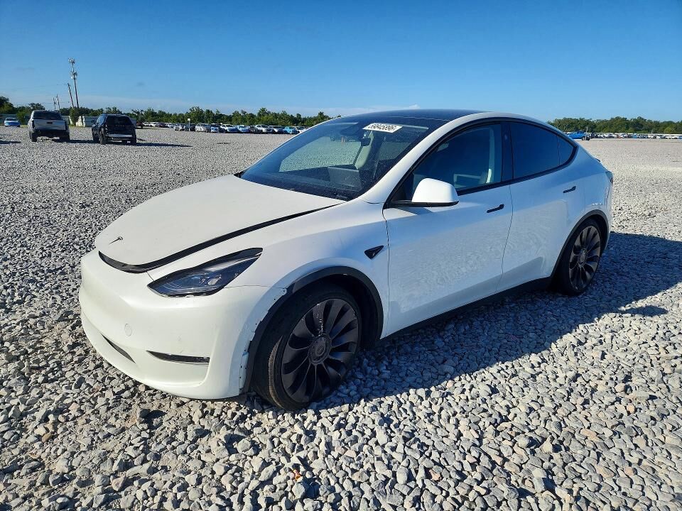 2025 TESLA Model Y