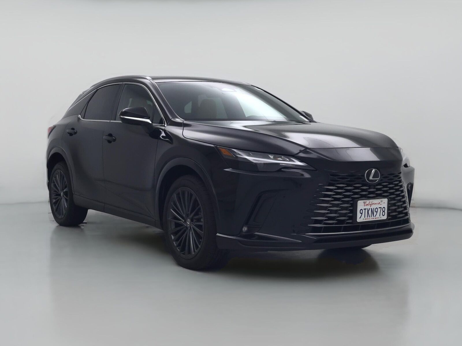 2025 LEXUS RX