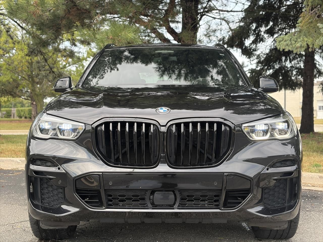2023 BMW X5