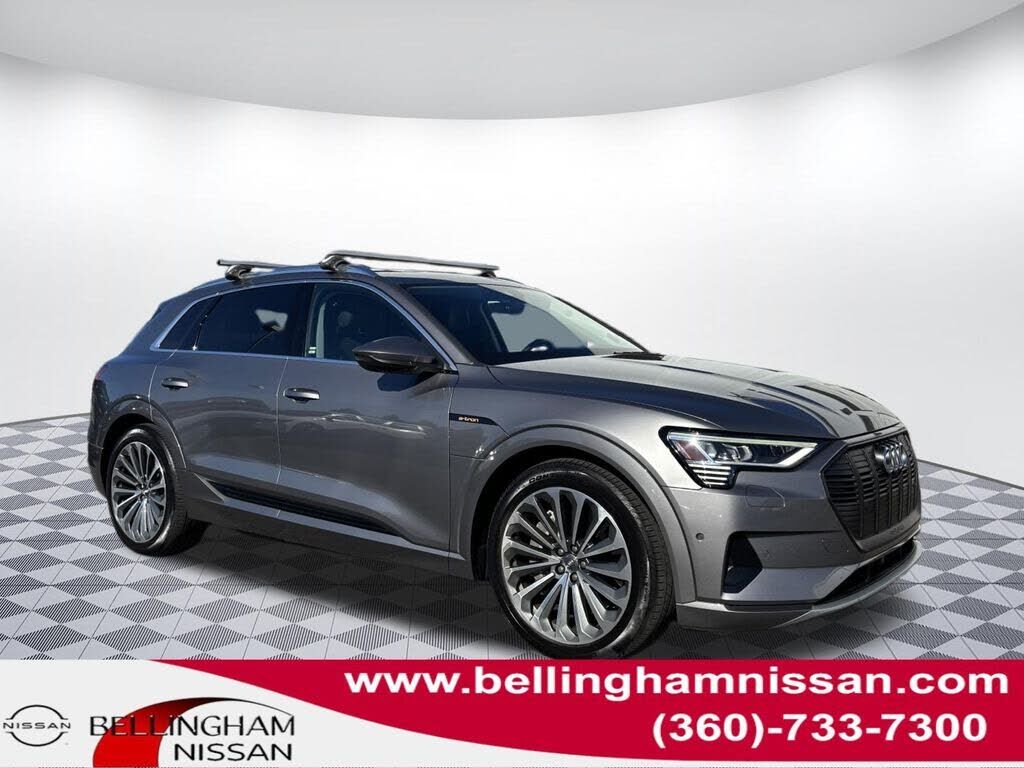 2019 AUDI e-tron
