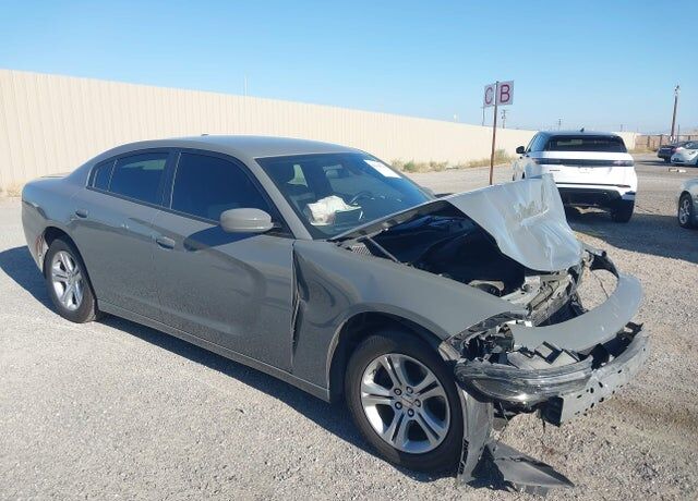 2019 DODGE Charger