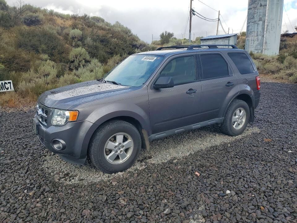 2010 FORD Escape