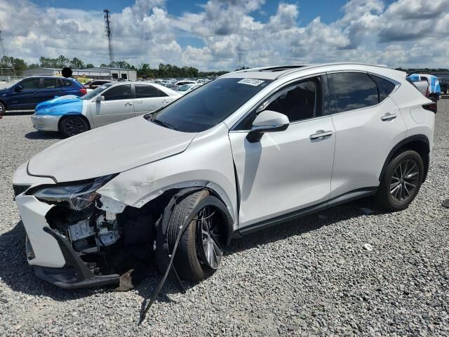 2024 LEXUS NX