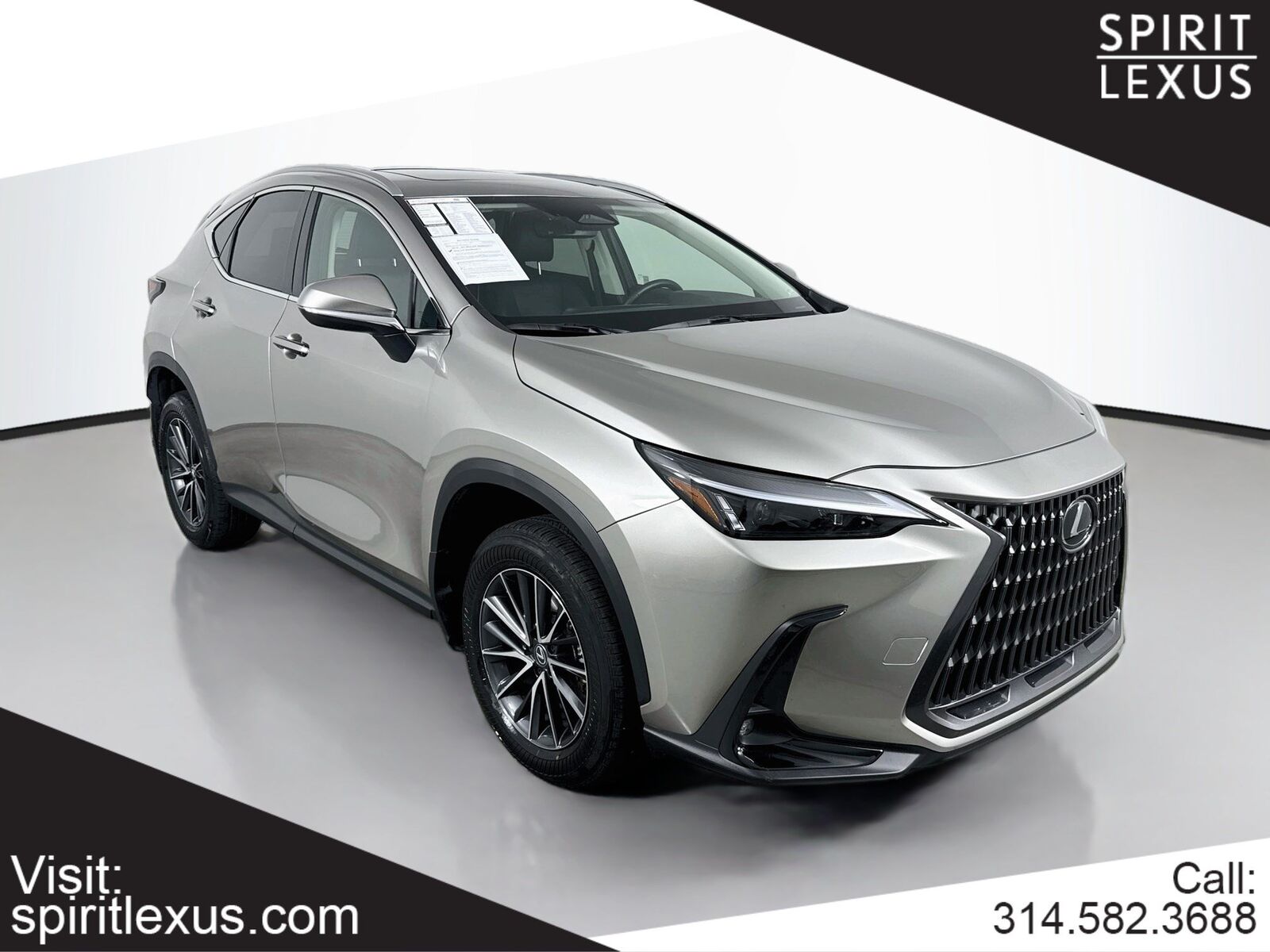 2024 LEXUS NX